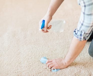 How to Clean Vomit From Carpet